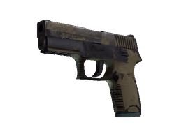 P250 | Sand Dune (Battle-Scarred)